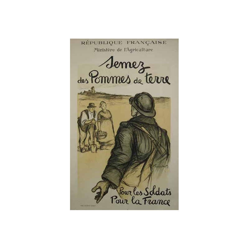 HAUTON Semez des pommes de terre