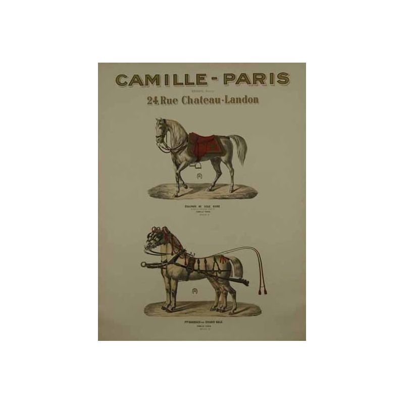 Anonyme Camille Paris