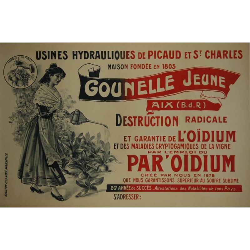 Anonyme Destruction de l oidium Gounelle jeune
