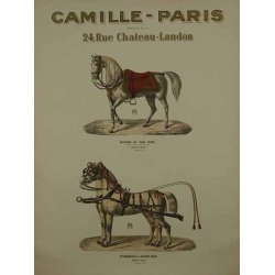 Anonyme Camille Paris