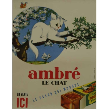 Anonyme Ambre le chat