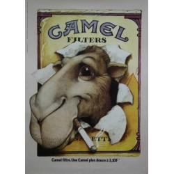 Anonyme Camel