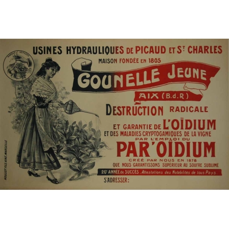 Anonyme Destruction de l oidium Gounelle jeune