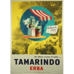 Anonyme Tamarindo Erba la bevanda sana