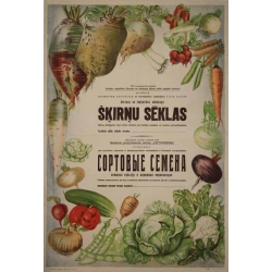 Anonyme Skirnv Seklas